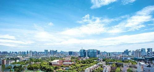 成都武侯区最新爆料消息,揭秘区域发展新动态与未来规划